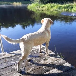 Meet your Posher, Mitchell